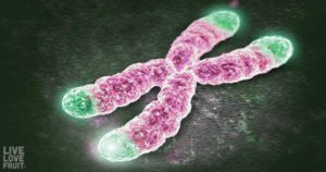 Studija pokazuje: veganska prehrana i promjena životnog stila potaknula je za 3 mjeseca promjenu više od 500 gena